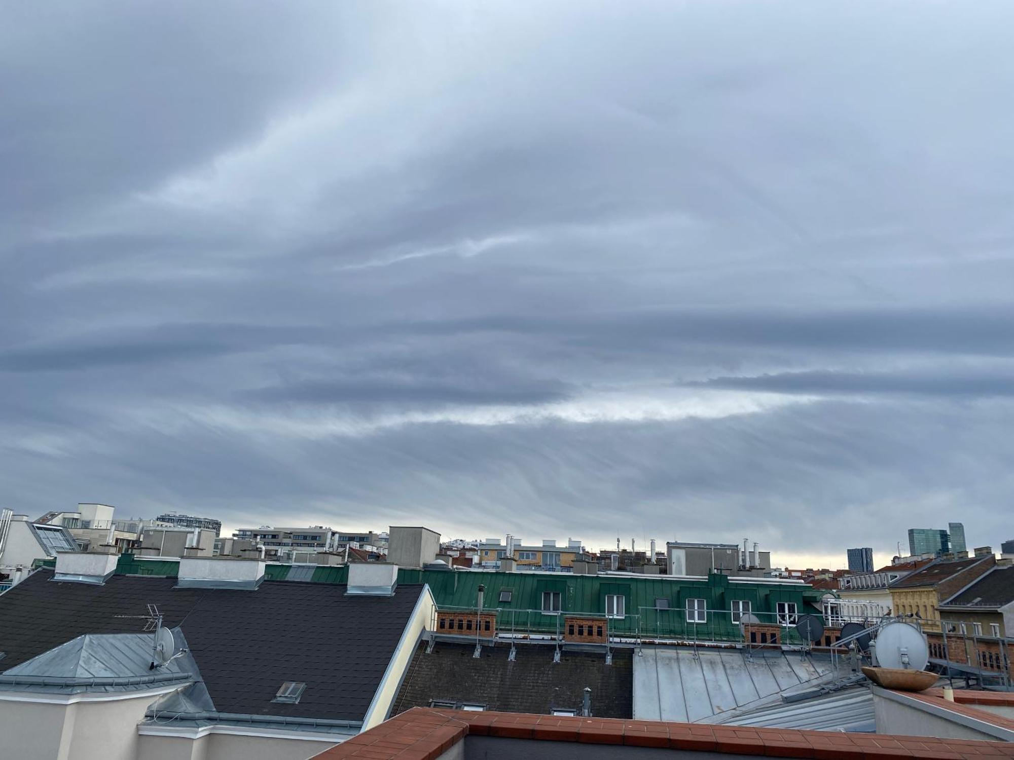 Focky City Apartments Wina Bagian luar foto
